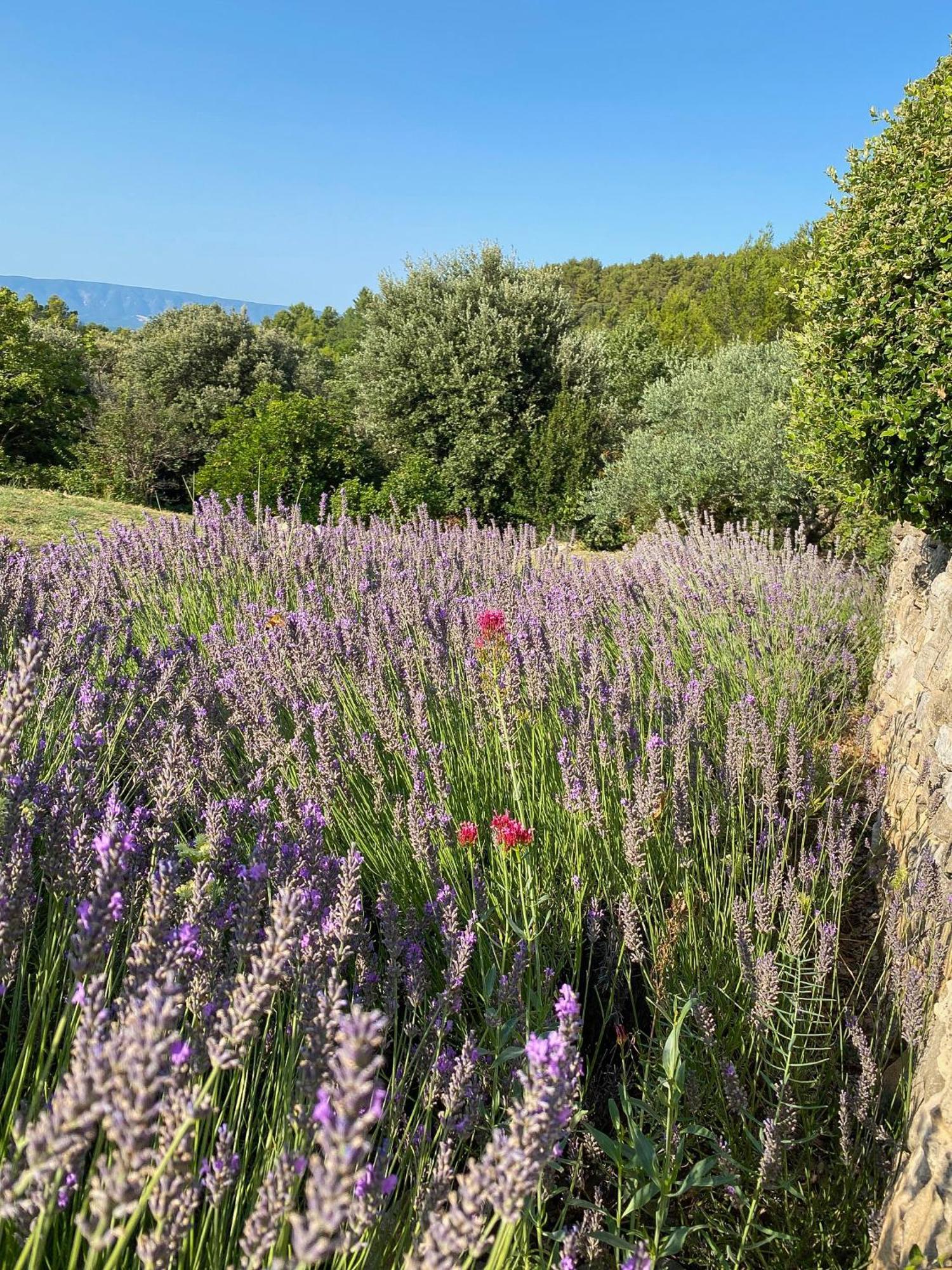 Mas Du Loriot Bed & Breakfast Murs  Exterior photo